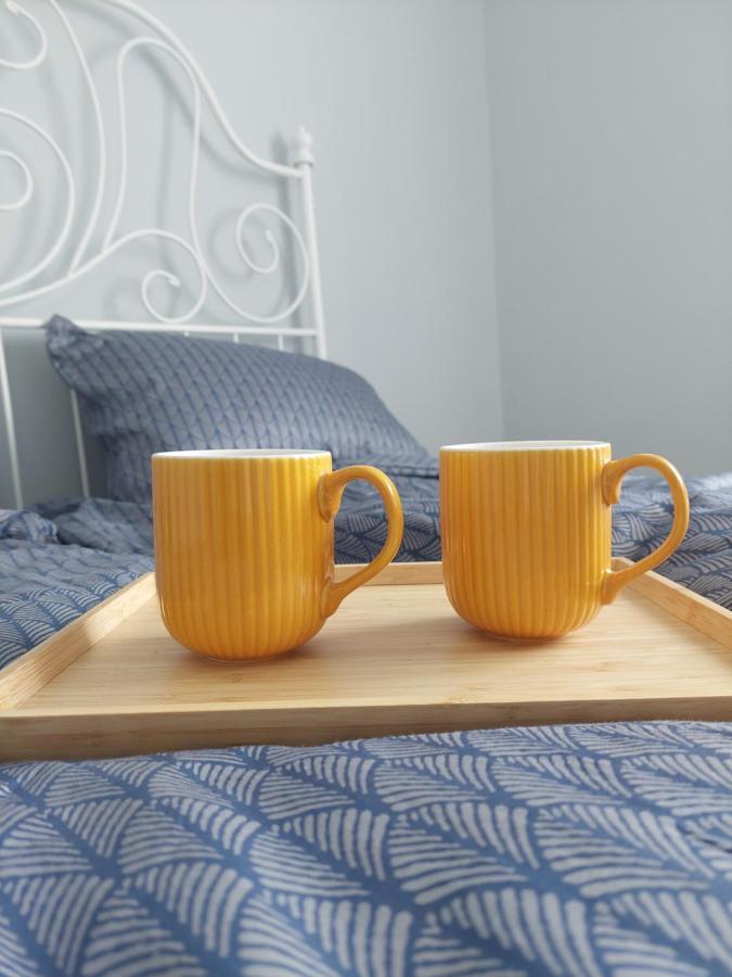 Kuldīga Pigeon Apartment מראה חיצוני תמונה